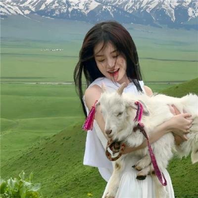 洞房春色